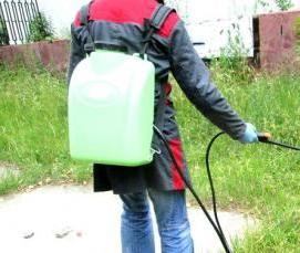 Дератизация подвальных помещений - вариант 4