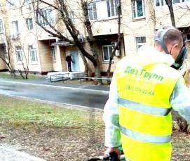 Дератизация подвальных помещений - вариант 3