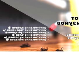 Дератизация тараканов - модель 1