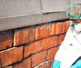 Дератизация юридических лиц - вариант 4