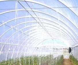 Дешевые поликарбонатные теплицы - вариант 3