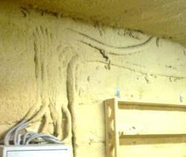 Дезинфекция частного дома - вариант 3