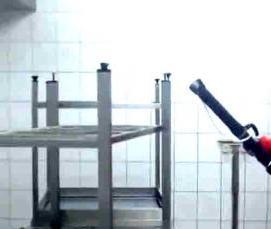 Дезинфекция дома от блох - модель 1