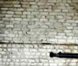 Дезинфекция дома от блох - модель 4