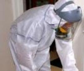 Дезинфекция дома от тараканов - модель 1