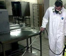 Дезинфекция дома от тараканов - модель 3