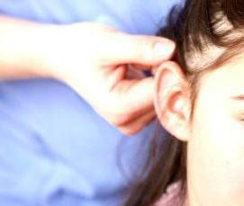 Дезинфекция дома от вшей - модель 1