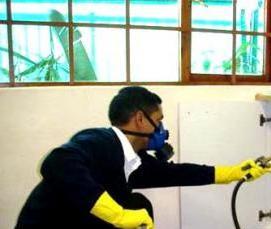 Дезинфекция дома от вшей - модель 4