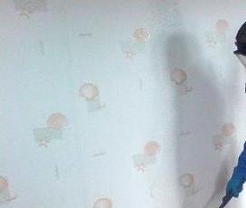 Дезинфекция дома от вшей - модель 2