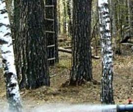 Дезинфекция квартиры от клещей - модель 3