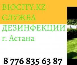 Дезинфекция квартиры от клещей - модель 2