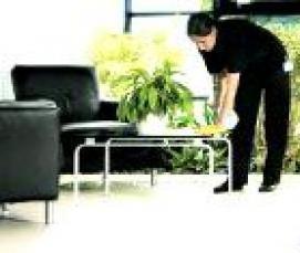 Дезинфекция мебели - модель 1