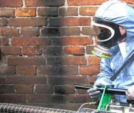 Дезинфекция от блох - тип 1