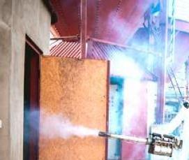 Дезинфекция от блох - тип 4