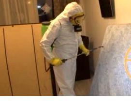 Дезинфекция от блох - тип 2