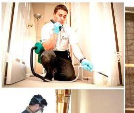 Дезинфекция от клопов в квартире - модель 3