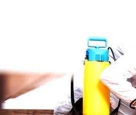 Дезинфекция от муравьев - тип 4