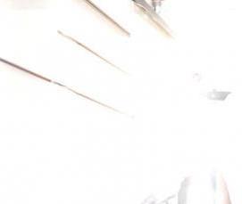 Дезинфекция от муравьев - тип 3