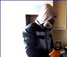 Дезинфекция от тараканов - вариант 1