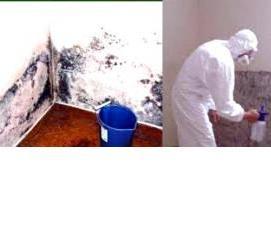 Дезинфекция подвала - модель 4