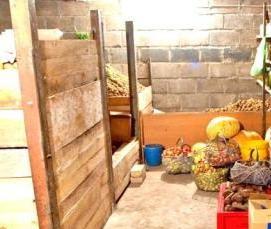 Дезинфекция подвала - модель 3