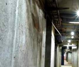 Дезинфекция подвальных помещений - модель 1