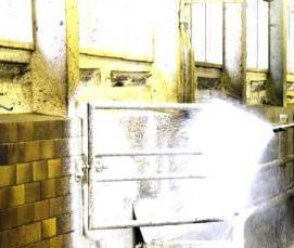 Дезинфекция помещений для животных - модель 1