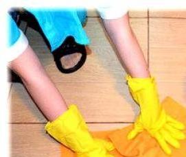 Дезинфекция помещений для животных - модель 3