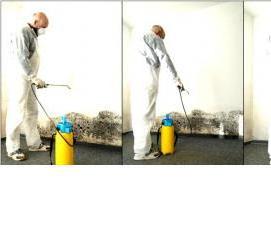 Дезинфекция помещений для животных - модель 2