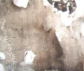 Дезинфекция после прорыва канализации - тип 3