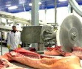 Дезинфекция различных объектов - вариант 1