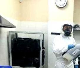 Дезинфекция тараканов с гарантией - модель 1