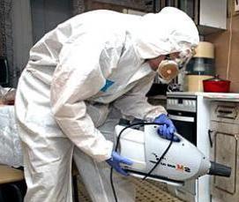 Дезинфекция тараканов туманом - вариант 4