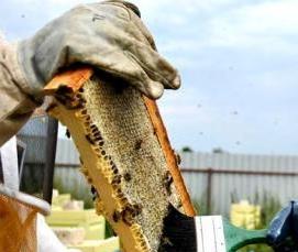 Дезинфекция ульев - тип 2