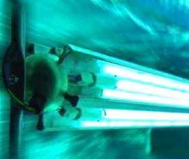 Дезинфекция ультрафиолетом - вариант 1