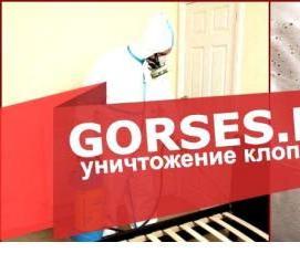 Дезинфекция вещей от клопов - вариант 1