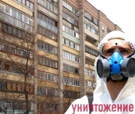 Дезинфекция вещей от клопов - вариант 4