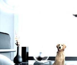 Дезинфекция воздуха в квартире - модель 3