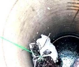 Дезинфекция высокой очистки - тип 1