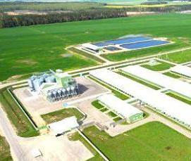 Дезинфекция животноводческих помещений - вариант 1