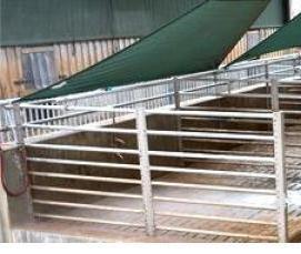 Дезинфекция животноводческих помещений - вариант 2