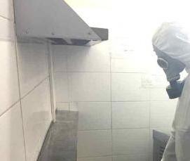 Дезинсекция документов - тип 2