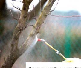 Дезинсекция гостиниц - вариант 3