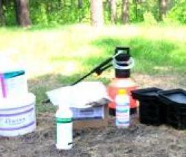 Дезинсекция гостиниц - вариант 2