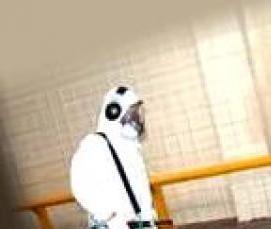 Дезинсекция холодным туманом - вариант 4