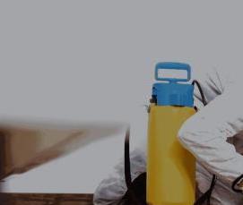 Дезинсекция и дезакаризация - тип 1