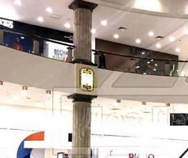 Дезинсекция кафе - тип 3