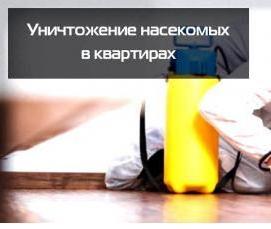 Дезинсекция кафе - тип 2