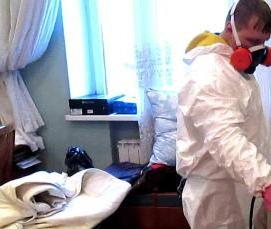 Дезинсекция клопов туманом - тип 1