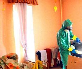 Дезинсекция клопов туманом - тип 2